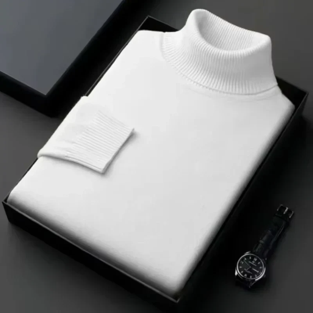 Alioth Cashmere Turtleneck
